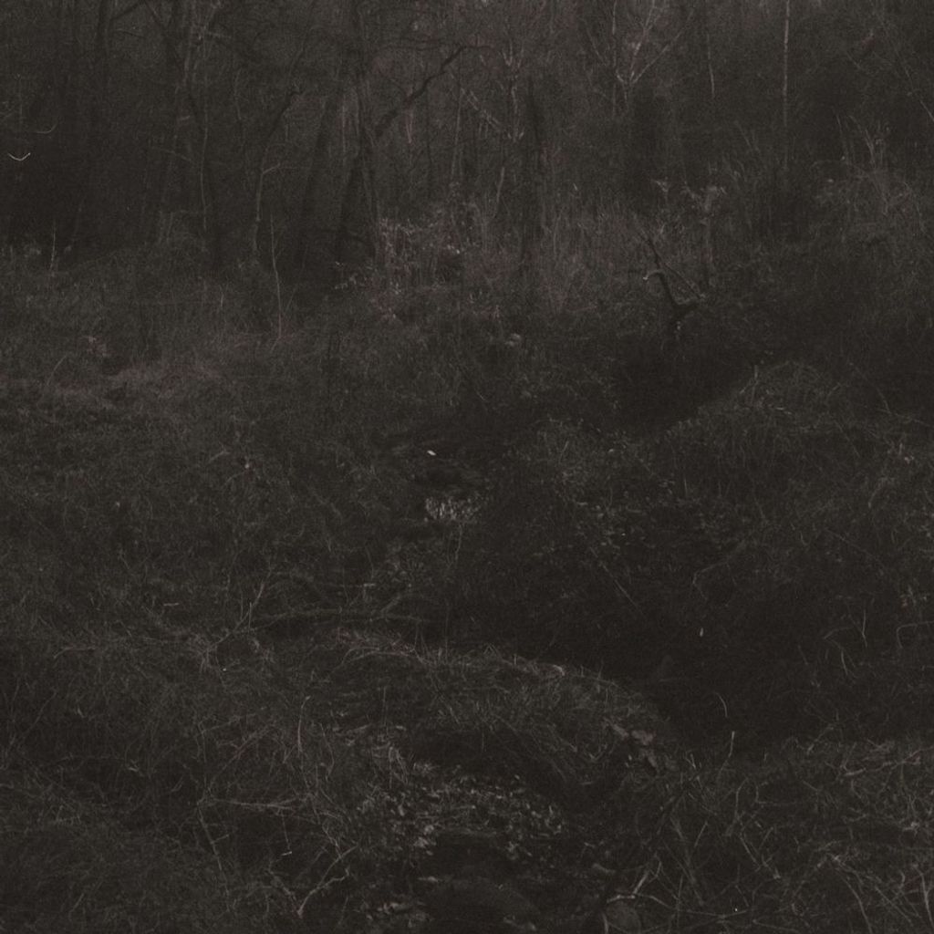 transient