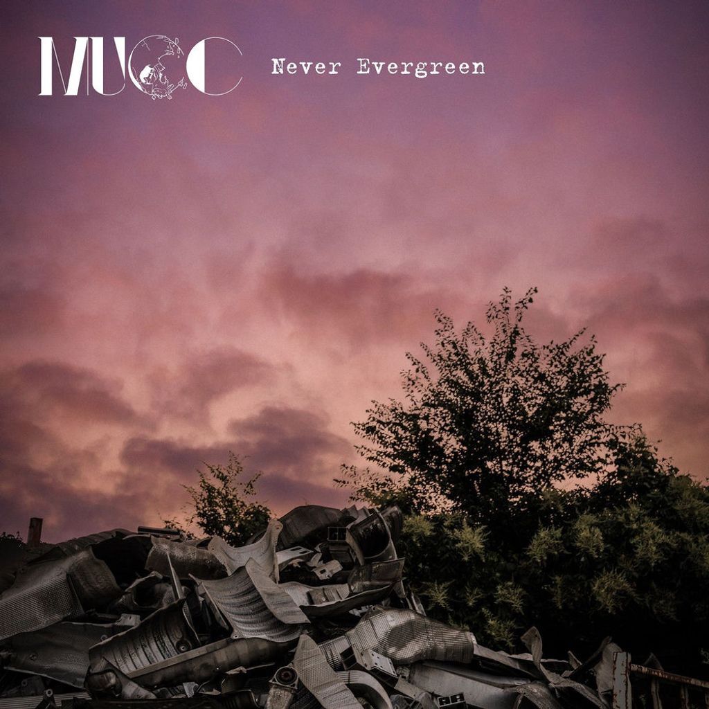 Never Evergreen