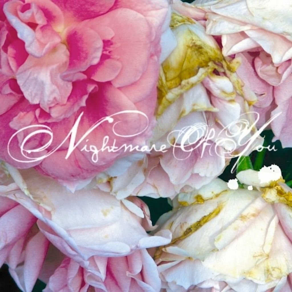 Nightmare of You