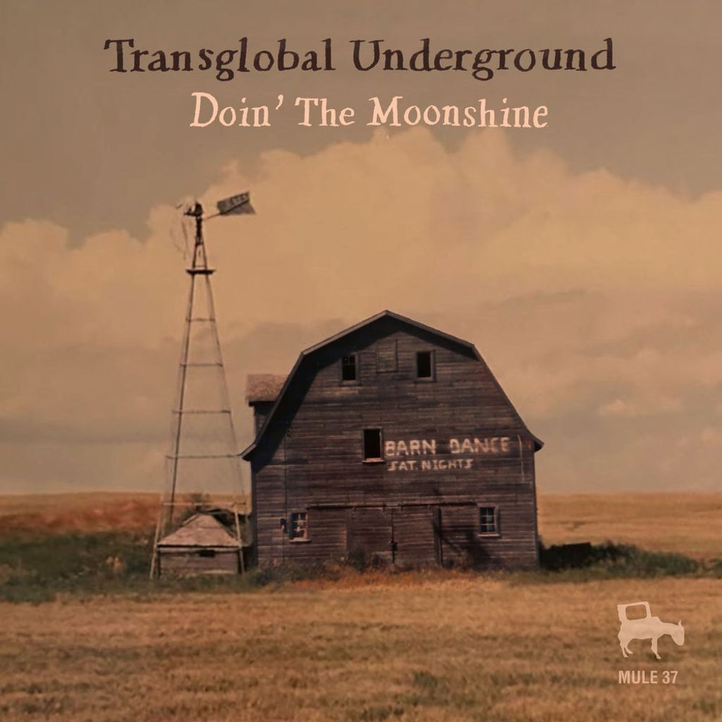 Doin' the Moonshine