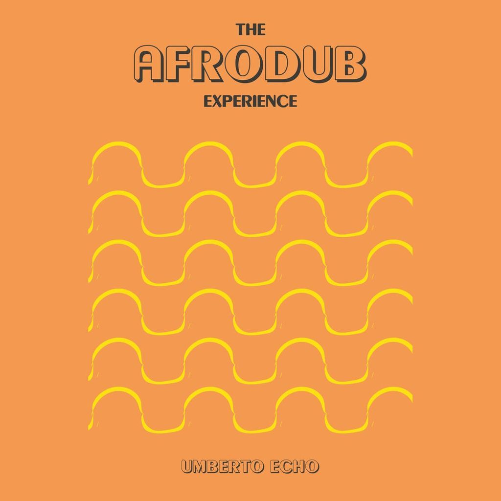 The Afrodub Experience