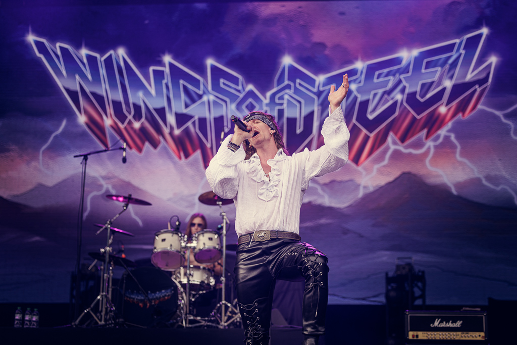 Wings of Steel