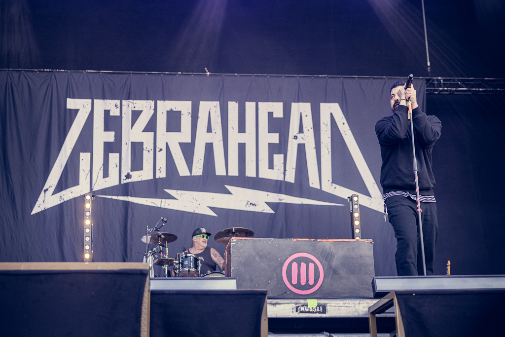 Zebrahead