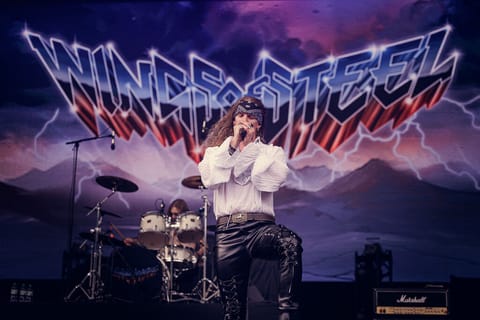 Wings of Steel