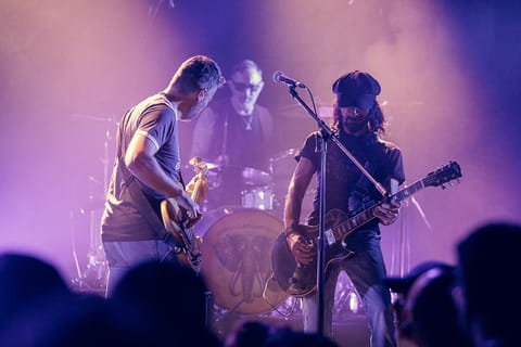 Wicked Elephant Revival