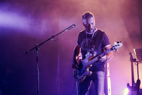 Wicked Elephant Revival