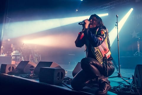 The Last Internationale