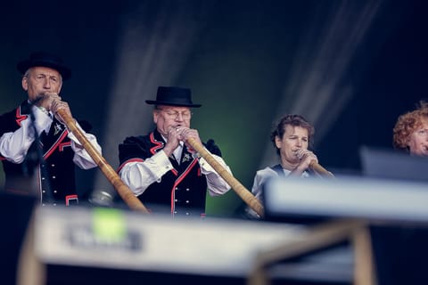 Alphornbläser