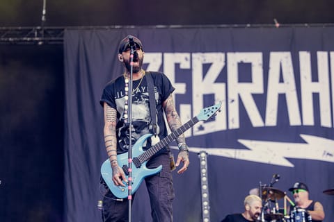Zebrahead