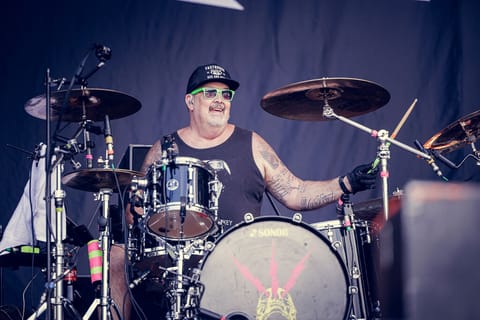 Zebrahead