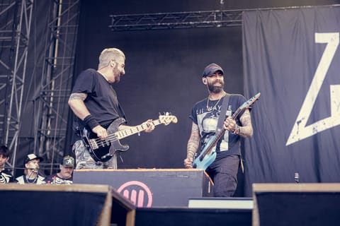 Zebrahead