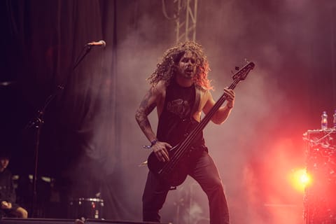 Soulfly