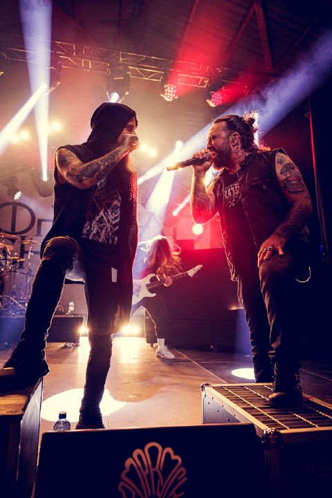 Dropdead Chaos