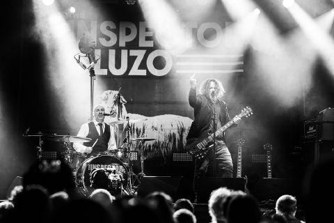 The Inspector Cluzo