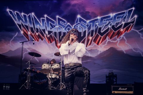 Wings of Steel