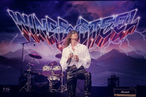 Wings of Steel