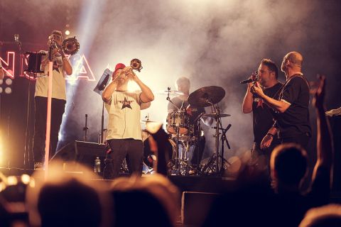 Mad in Ska