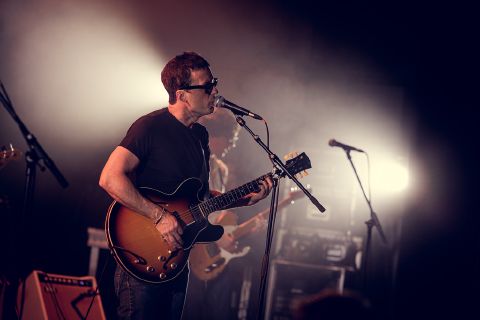 The Elephant Green