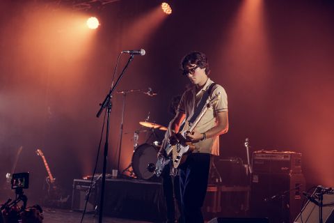 The Elephant Green
