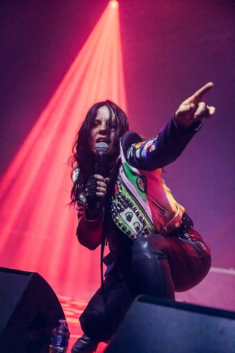 The Last Internationale