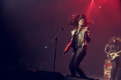 The Last Internationale