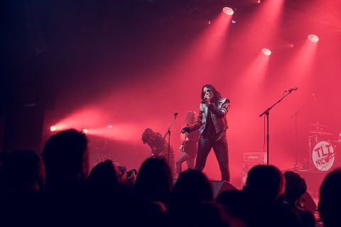 The Last Internationale