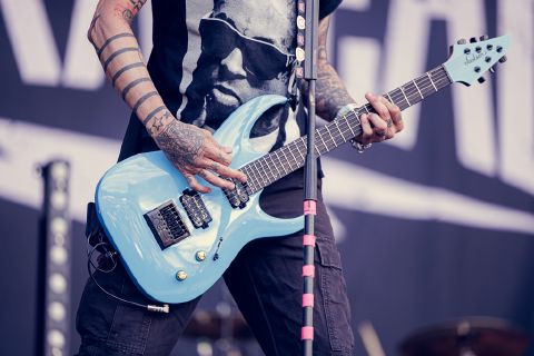 Zebrahead