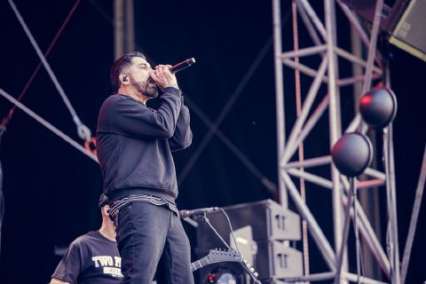 Zebrahead