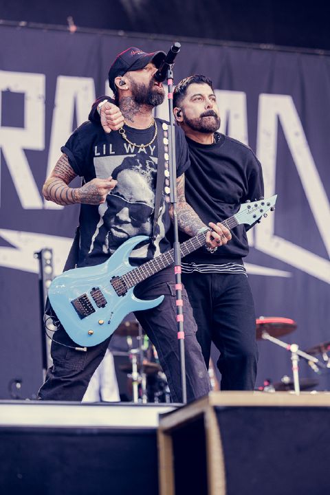 Zebrahead