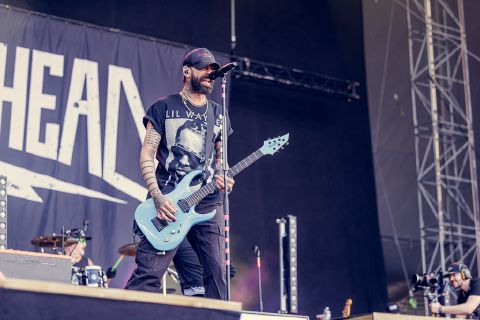 Zebrahead