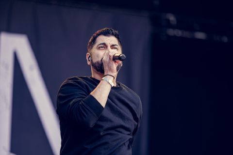 Zebrahead