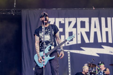 Zebrahead
