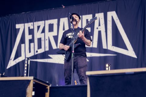 Zebrahead