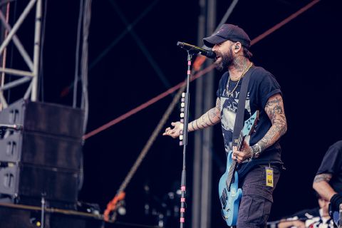 Zebrahead