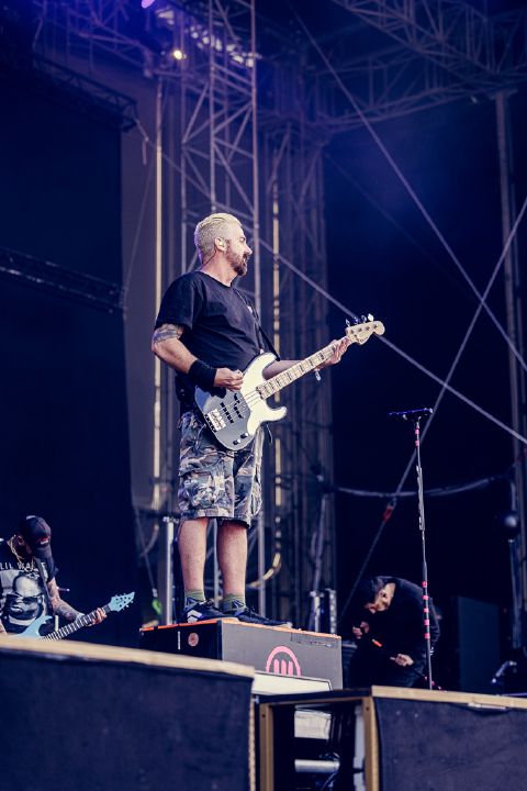 Zebrahead