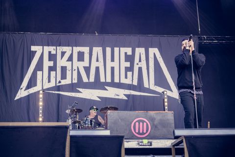 Zebrahead