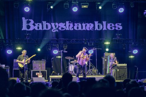 Babyshambles